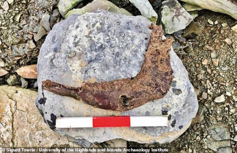 Na místě bylo v uplynulých desetiletích nalezeno poměrně dost vzácných artefaktů. Foto: Archeology Orkney / Sigurd Towrie