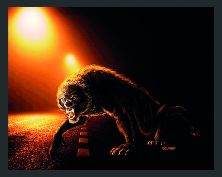 Britský badatel Charles Christian píše o incidentu z 60. let, kdy tu měl řidič kamionu narazit na chlupatého zuřícího tvora s rudýma očima.