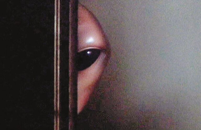 Setkání se přihodí nečekaně. Foto: Pixabay