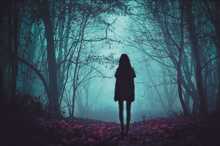 Podivný les se stal inspirací pro sběratele pohádek. Umístili sem třeba děj příběhu o Červené karkulce.