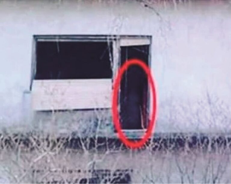 V tomto domku ve vesnici Škrinjari nikdy nikdo nebydlel. V nabídce realitní kanceláře už je hodně dlouho a má to svůj důvod.