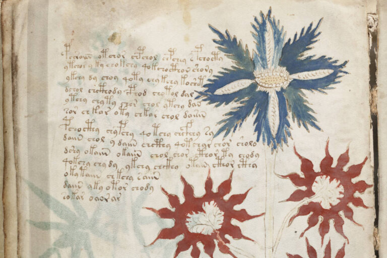 Ukázka stránky z Voynichova rukopisu s ilustrací rostliny a neznámým textem. (Zdroj: Beinecke Rare Book & Manuscript Library)