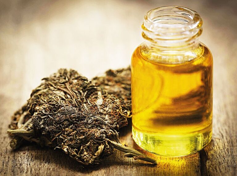 Přírodní léky jsou velkou nadějí alternativní scény. Skutečně se v nich ukrývají poklady?