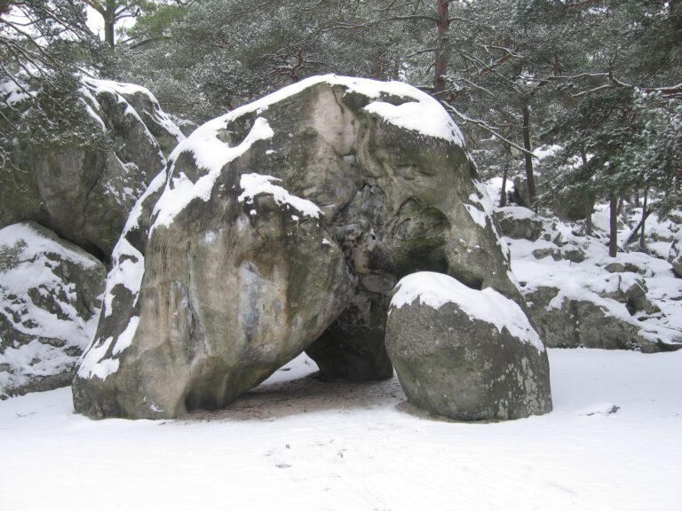 Obývala les kdysi nějaká neznámá civilizace?