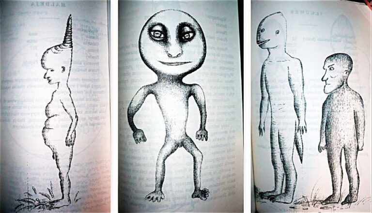 Polská organizace Antrovis se spojuje s ufologií.