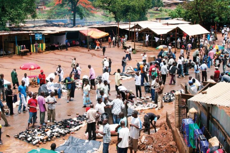Neidentifikovaný tvor vybral za cíl tržiště Bwandilo v milionové malawské metropoli Lilongwe.
