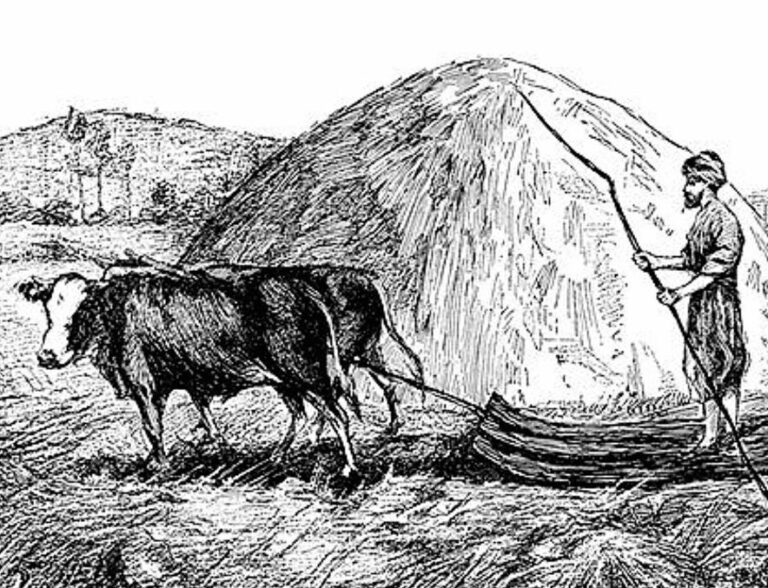 O lidech, kteří na starověkém statku žili, vědci nevědí zatím skoro nic.