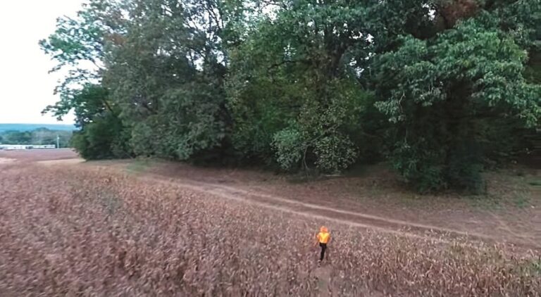 Klaunů se prý do konce života bude bát muž, který jednoho z nich nahraje v kukuřičném poli.