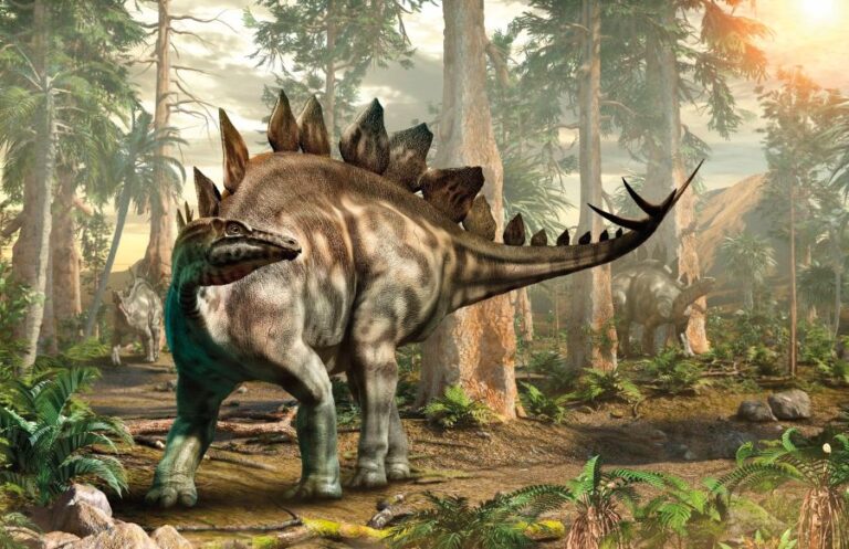 Stegosaurus je ještěr o velikosti malého autobusu s výstupky na hřbetě.