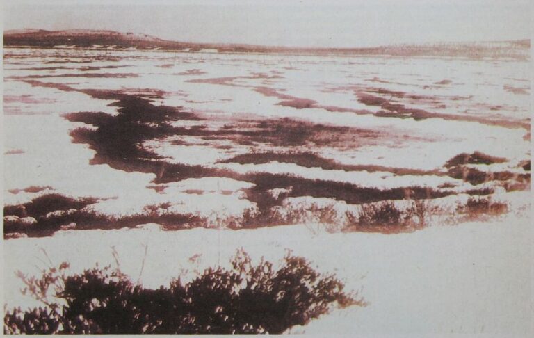 Tunguzské bažiny poblíž místa exploze. Tato fotografie byla publikována v časopise Around the World v roce 1931. Původní fotografie byla pořízena mezi lety 1927 a 1930 (pravděpodobně nejpozději 14. září 1930). Foto: Не указан в первоисточнике, неизвестен/Creative Commons/Public Domain