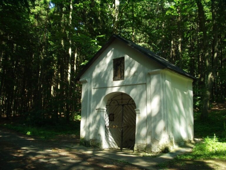 Zlatá neboli Zázračná studánka leží přibližně půl kilometru pod vrcholem Křemešníku. Její pramen se objevuje pouze v části roku. Foto: Národní registr studánek a pramenů (estudanky.eu)