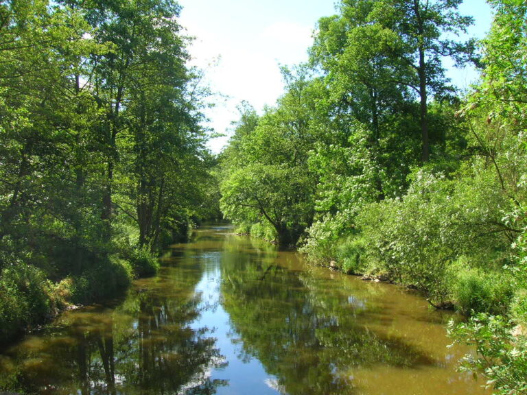 Hockomock Swamp patří k nejznámějším místům Bridgewaterského trojúhelníku. Podle legendy právě zde mělo vzniknout indiánské prokletí, které mělo oblast provázet po staletí.